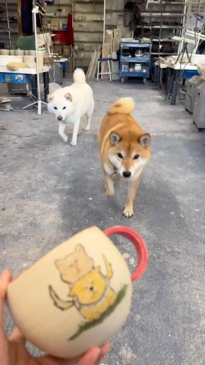 Instagram post from kosy_ceramics. This post is in position 4.